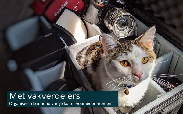 Koffers met vakverdelers