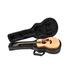 SKB - Soft Case - Taylor GS Mini Akoestische Gitaar